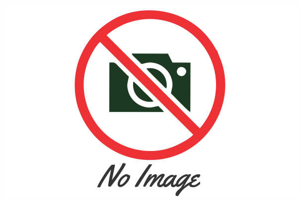 no-image - image